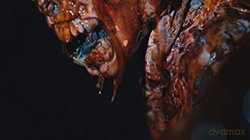 Death House - Gefangen in der Hölle [2DVD]