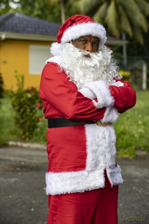 Death In Paradise-Weihnachten Palmen [DVD]