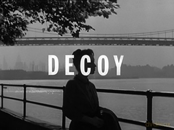 Decoy: Complete 39 Episode Series [3DVD]