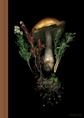 Deep Dark Forest Mushroom Journal [KSIĄŻKA]