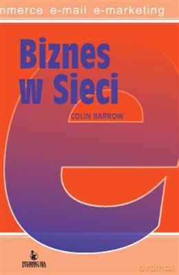 Biznes W Sieci - Colin Barrow [KSIĄŻKA]