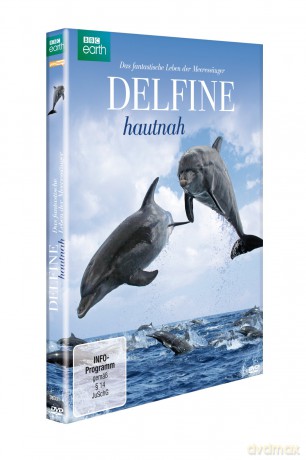 Delfine Hautnah [DVD]