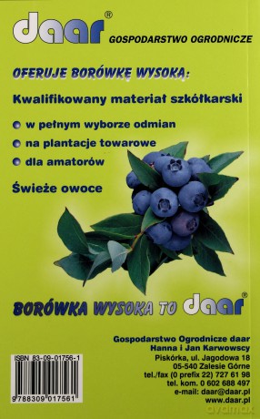 Borówka Wysoka [KSIĄŻKA]