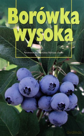 Borówka Wysoka [KSIĄŻKA]