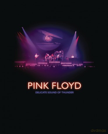 Delicate Sound Of Thunder - Restored Re-Edited Remixed [Blu-Ray]