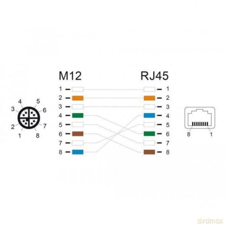 DELOCK M12 Adapterkabel X-kodiert 8 Pin