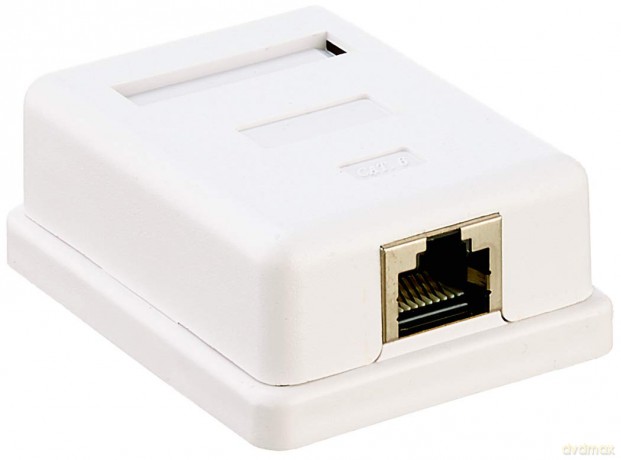 Delock Netzwerk Dose 1xRJ45 LSA werkzeug