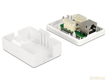 Delock Netzwerk Dose 1xRJ45 LSA werkzeug