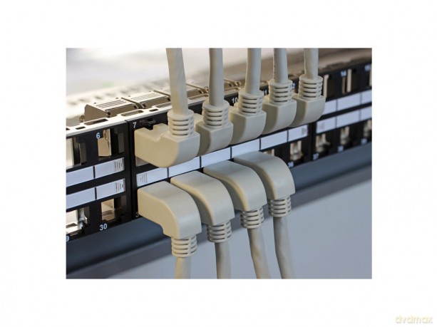 DELOCK Patchkabel gewinkelt RJ45 S/FTP C