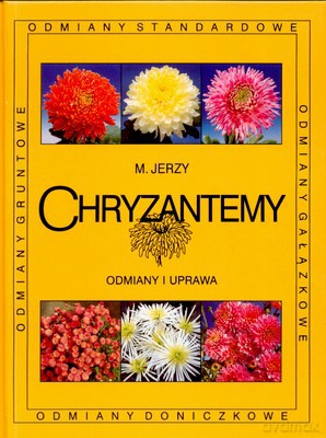 Chryzantemy Odmiany I Uprawa - Marek Jerzy [KSIĄŻKA]