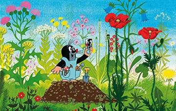 Der Kleine Maulwurf Komplettbox (9s) [9DVD]