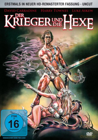 Der Krieger Und Die Hexe [DVD]
