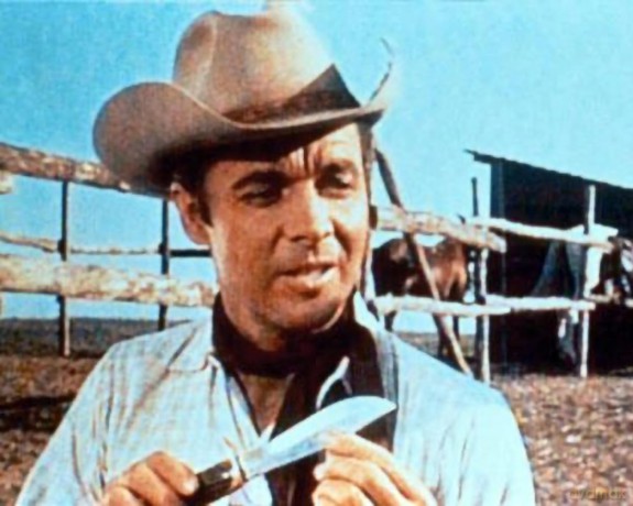 Der Mann Aus Texas [DVD]