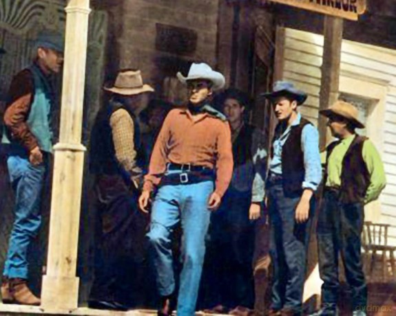 Der Mann Aus Texas [DVD]