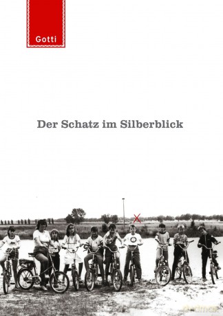Der Schatz Im Silberblick [KSIĄŻKA]