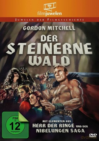Der Steinerne Wald-Fantasy-S [DVD]