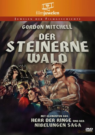 Der Steinerne Wald-Fantasy-S [DVD]