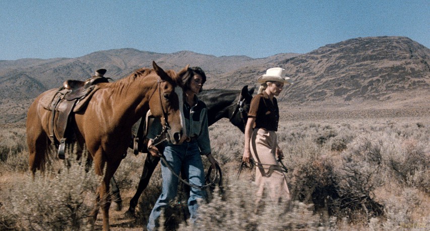 Desert Hearts [Blu-Ray]