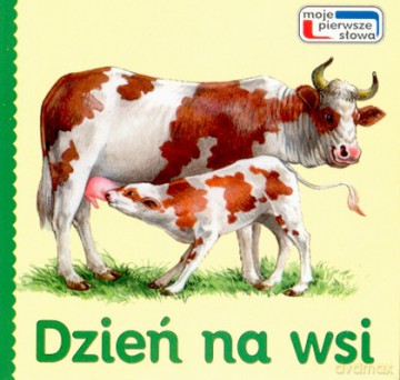 Dzień Na Wsi [KSIĄŻKA]