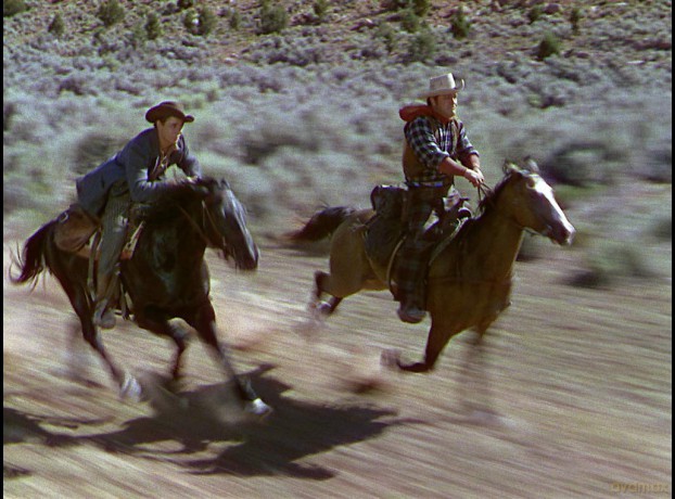 Desperados [DVD]