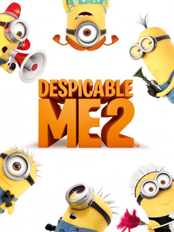 Despicable Me 2 (Verschrikkelijke Ikke 2) [DVD]