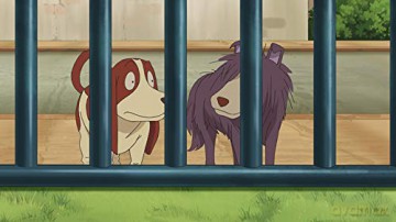 Detektei Layton - Katrielles rätselhafte Fälle: Volume 5 (Ep. 41-50) [2DVD]