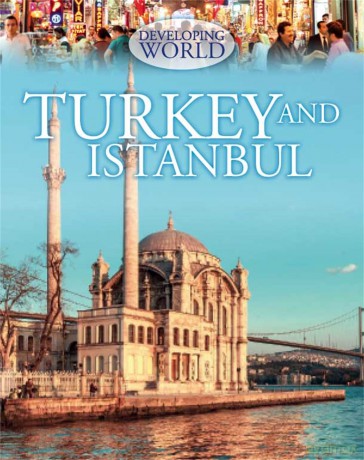 Developing World Turkey and Istanbul [KSIĄŻKA]