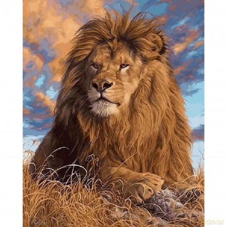 P: Diamond Painting Lśwe 40x30 cm