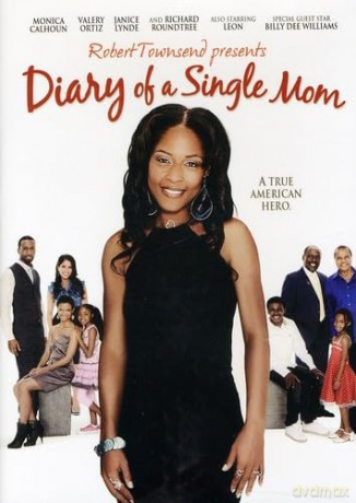 Diary Of A Single Mom [DVD]