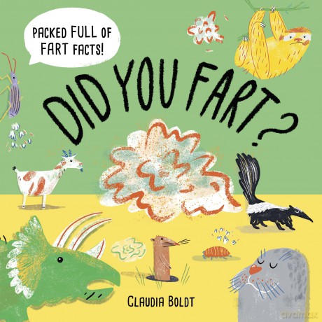 Did You Fart [KSIĄŻKA]