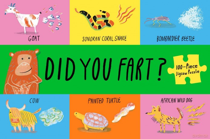 Did You Fart Jigsaw Puzzle [KSIĄŻKA]