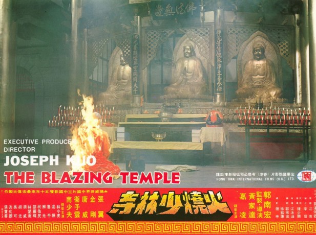 Die Flammenden Tempel Der Shaolin [DVD]