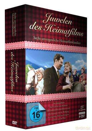 Die Grossen Danielle Steel Ver [6DVD]