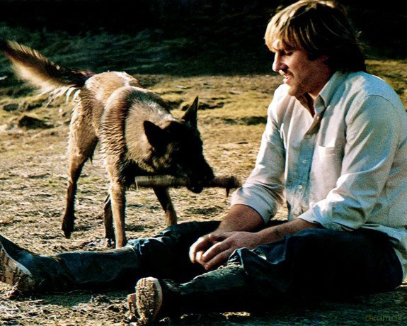 Die Hunde [DVD]