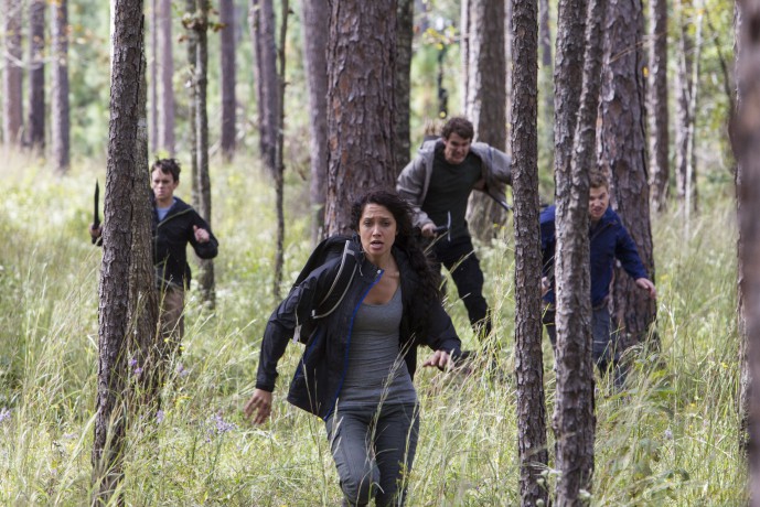 Die Pute Von Panem-The Starving Games [Blu-Ray]