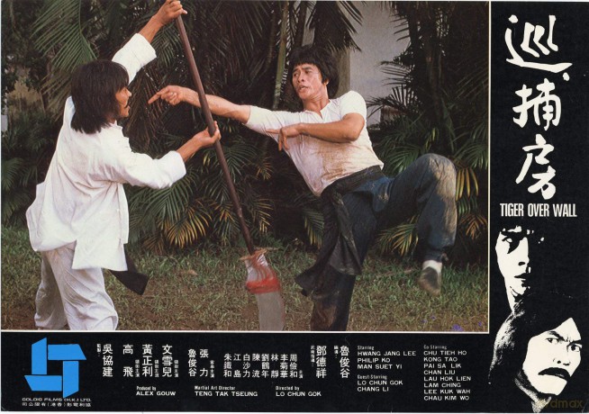 Die Rache Des Kung Fu Tigers [DVD]