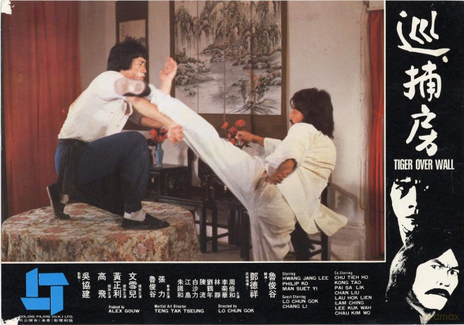 Die Rache Des Kung Fu Tigers [DVD]