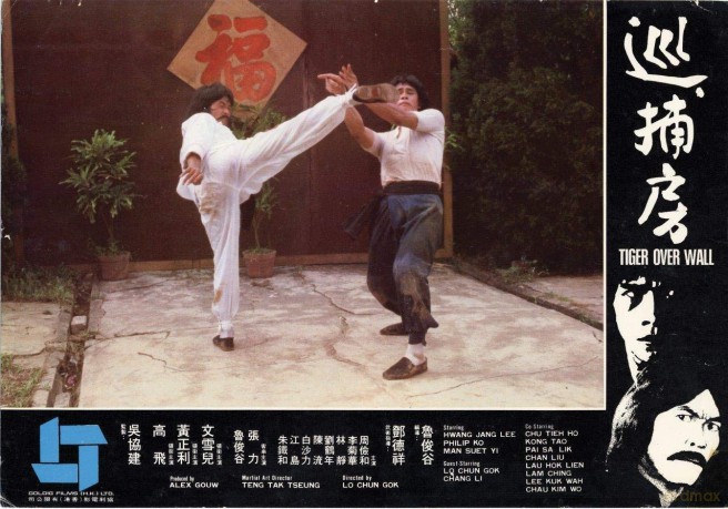Die Rache Des Kung Fu Tigers [DVD]