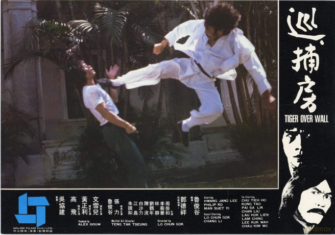 Die Rache Des Kung Fu Tigers [DVD]