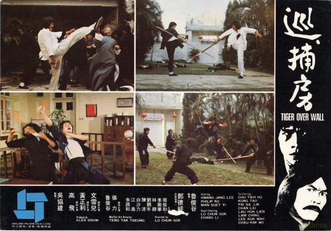 Die Rache Des Kung Fu Tigers [DVD]