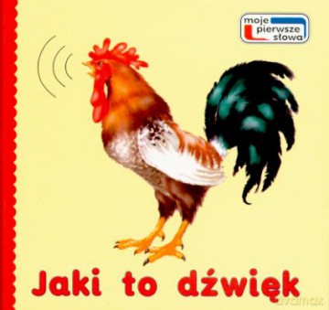 Jaki To Dźwięk - J. Kopała [KSIĄŻKA]