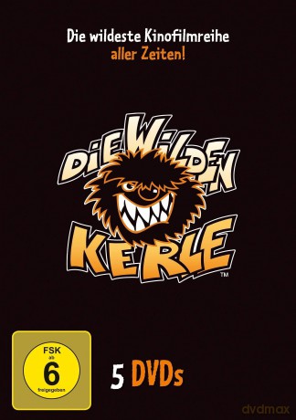 Die Wilden Kerle 1-5 Sammelbox [5DVD]