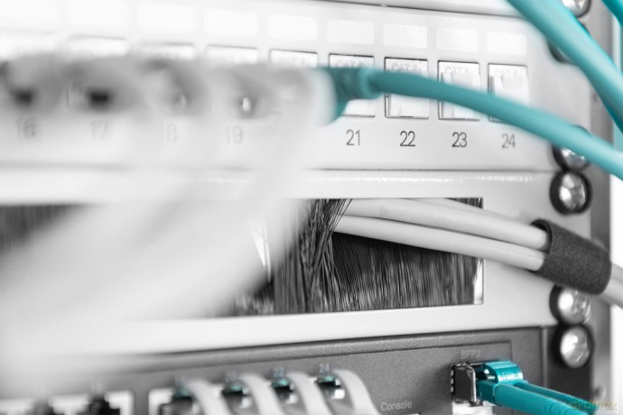 DIGITUS Kabelbźrstenleiste 1HE ffnung 2