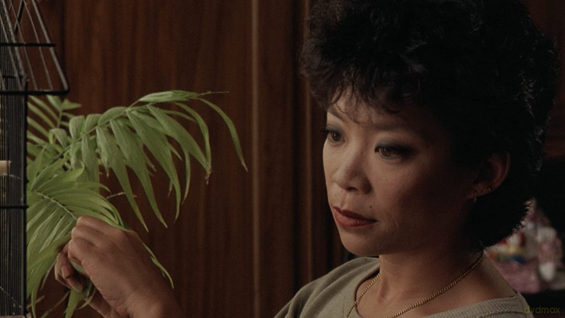 Dim Sum: A Little Bit Of Heart [DVD]