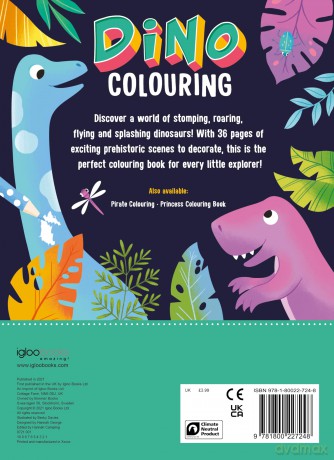Dino Colouring [KSIĄŻKA]