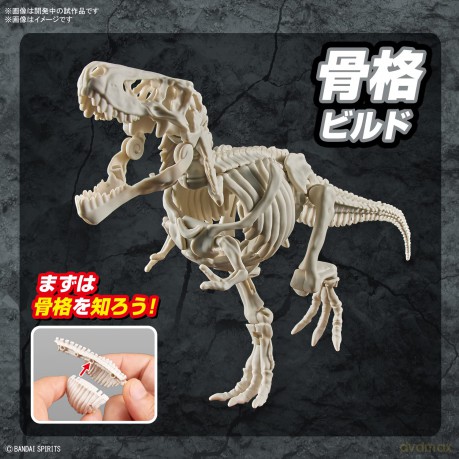 DINOSAUR - New Dinosaur Plastic Tyrannos