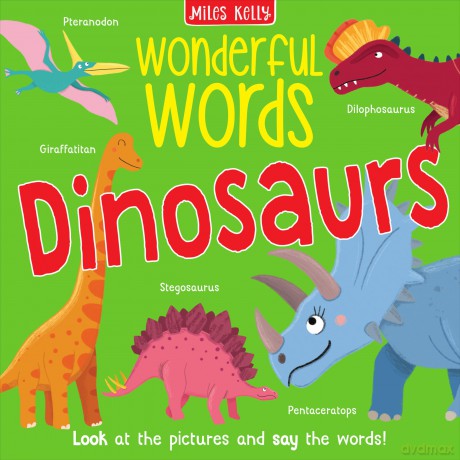Dinosaurswonderful Words [KSIĄŻKA]
