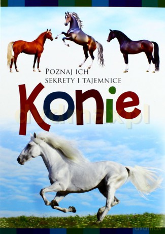 Konie Poznaj Ich Sekrety I Tajemnice - Anna Willman [KSIĄŻKA]