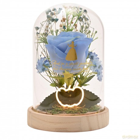 DISNEY PRINCESS - Cinderella - Floral Cl