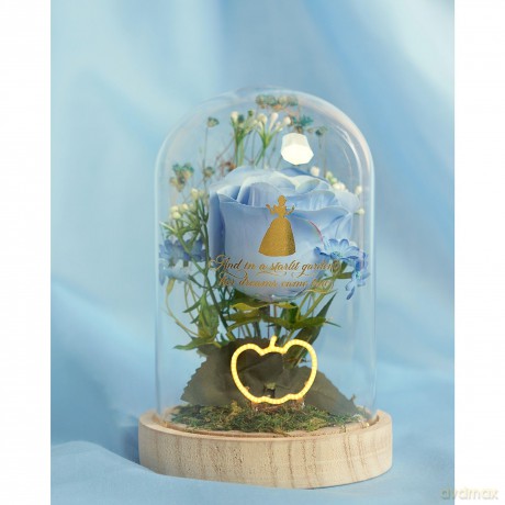 DISNEY PRINCESS - Cinderella - Floral Cl